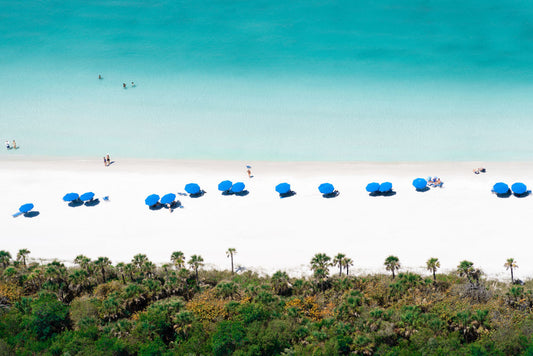 Product image for Vanderbilt Beach Mangroves, Naples, Florida