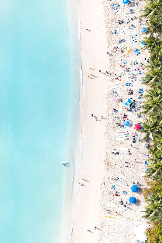 Waikiki Beach Palm Trees Vertical