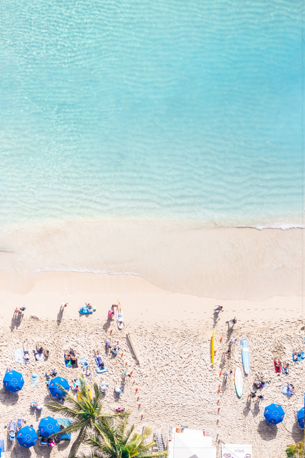 Waikiki Triptych