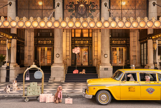 Product image for Welcome to The Plaza Hotel