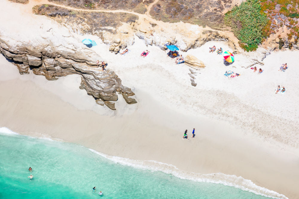 Windansea Beach Sunbathers