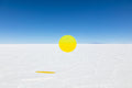 Yellow Circle