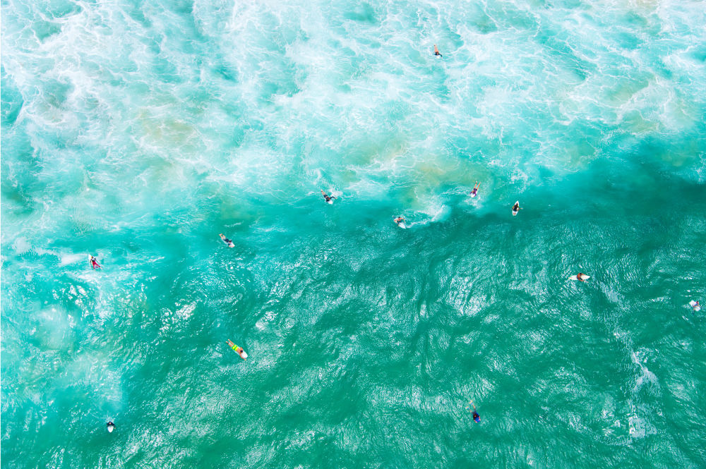 Bondi Beach Surfers Archive