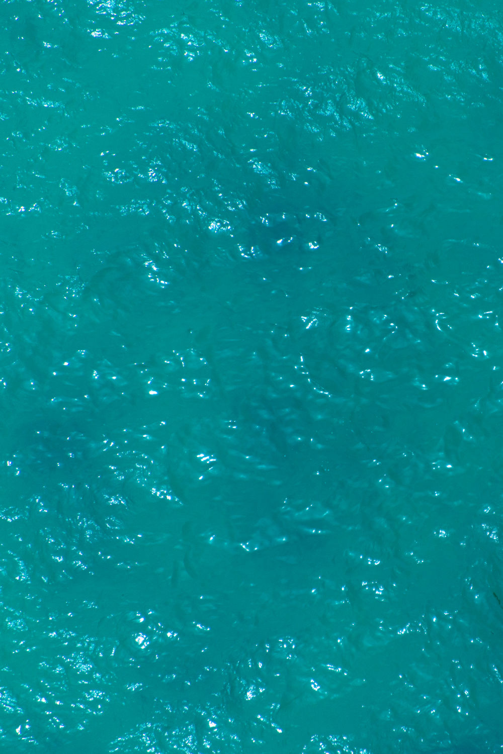 Bondi Surf Lifeguards Triptych