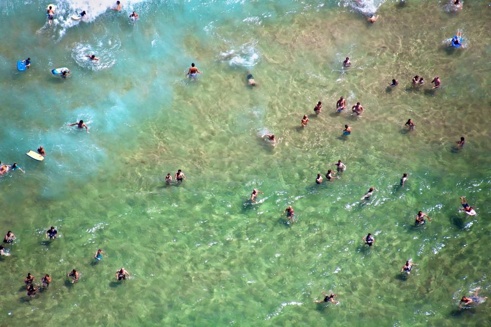 Bondi Swimmers Close-Up