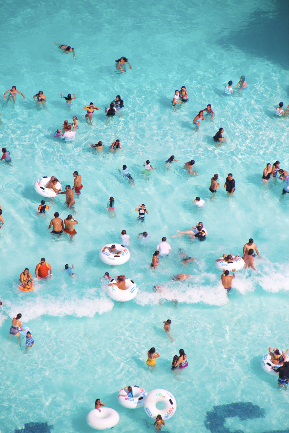 Caribbean Triptych