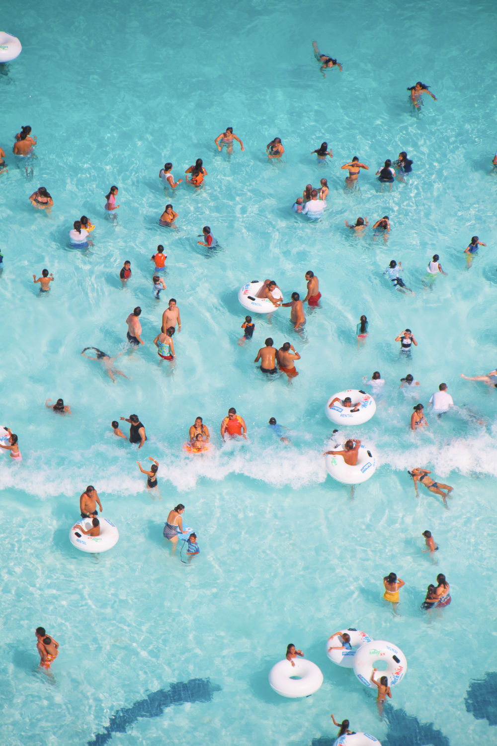 Caribbean Triptych