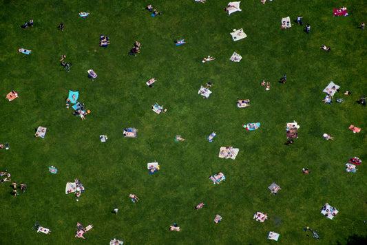 Central Park Lawn