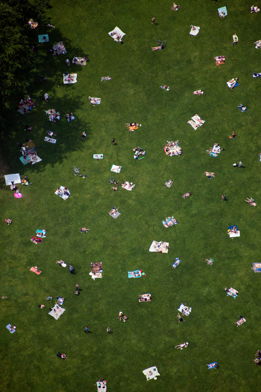 Central Park Triptych