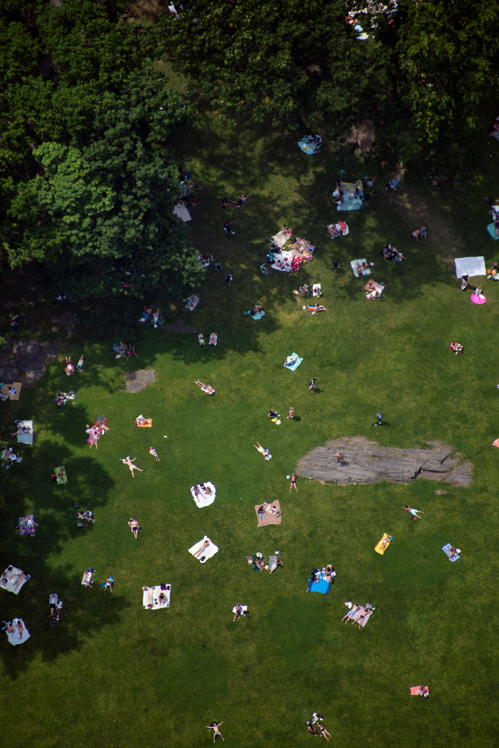 Central Park Triptych