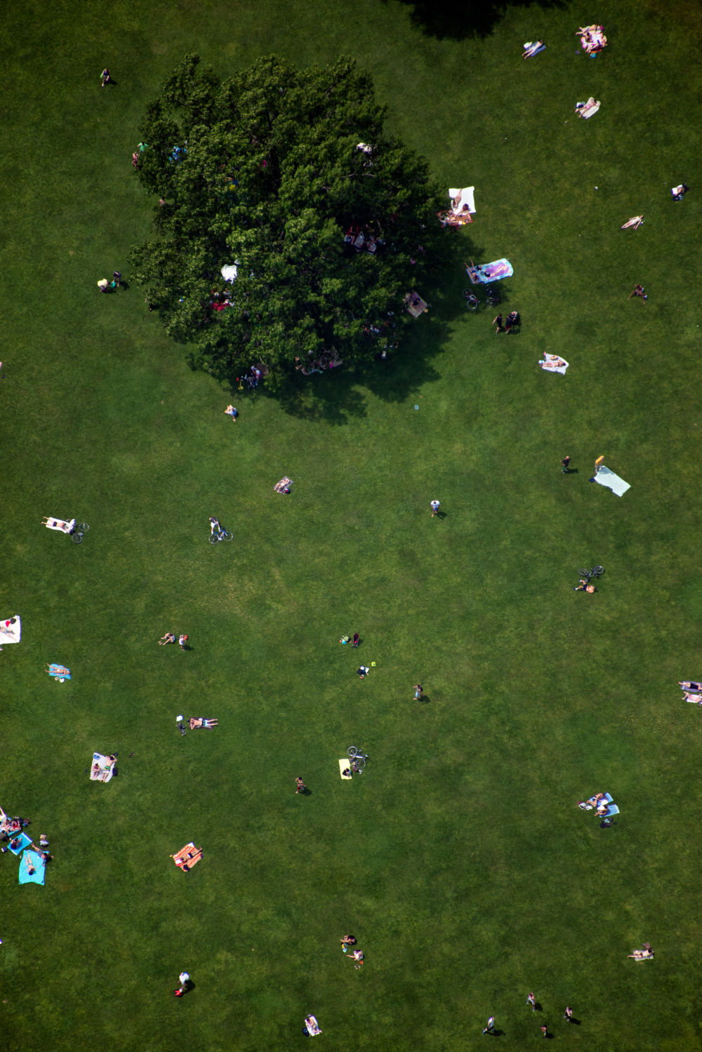 Central Park Triptych