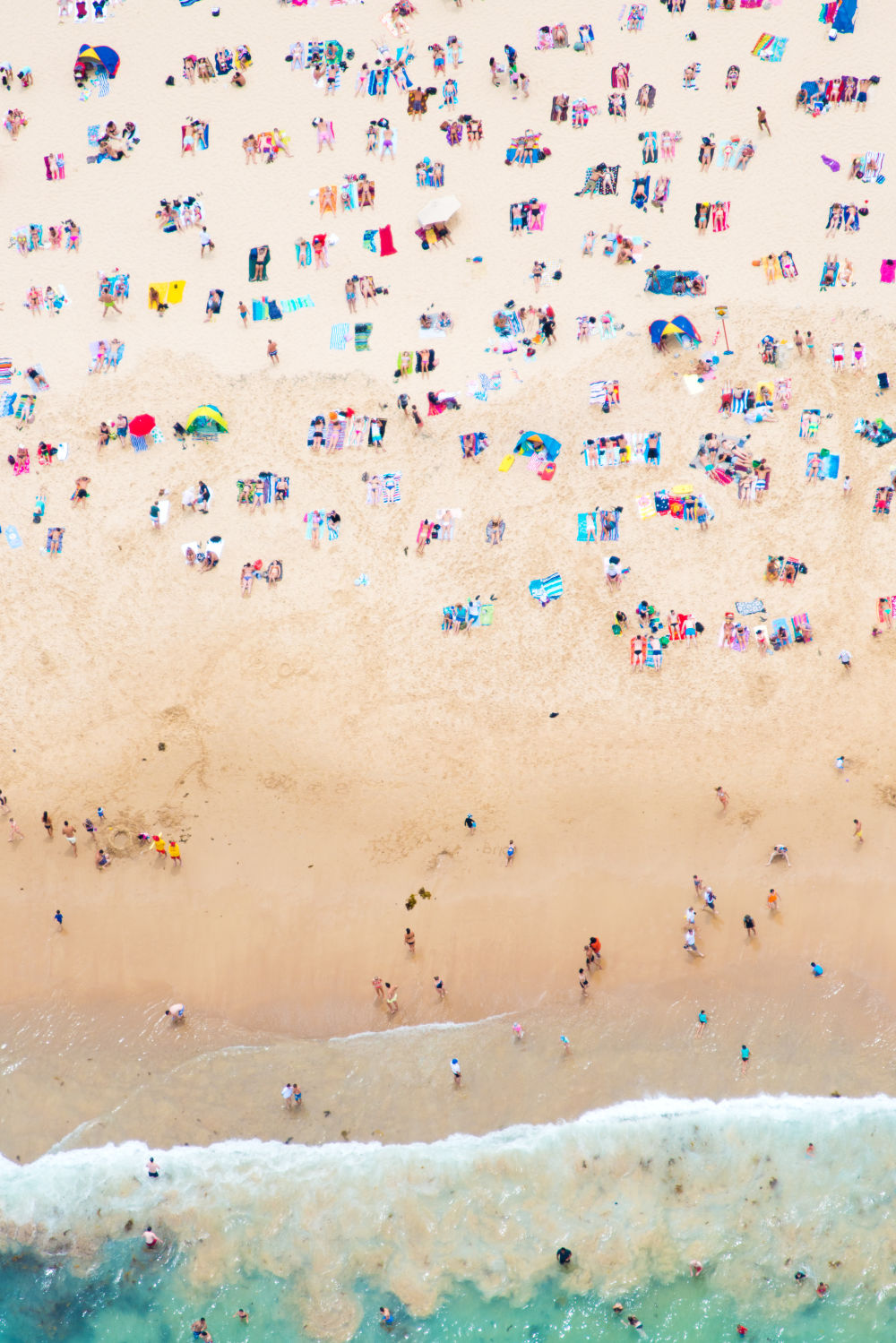 Coogee Beach Triptych