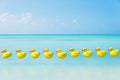 Duck Balloons