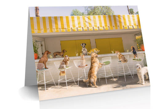 The Dogs Notecard Set