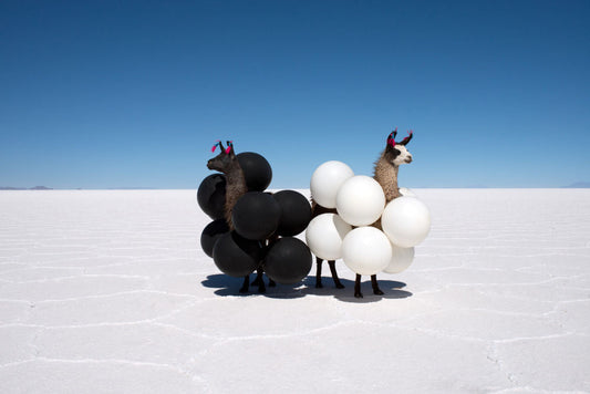 Llamas Black and White Balloons