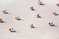 Miami Beach Orange Chairs