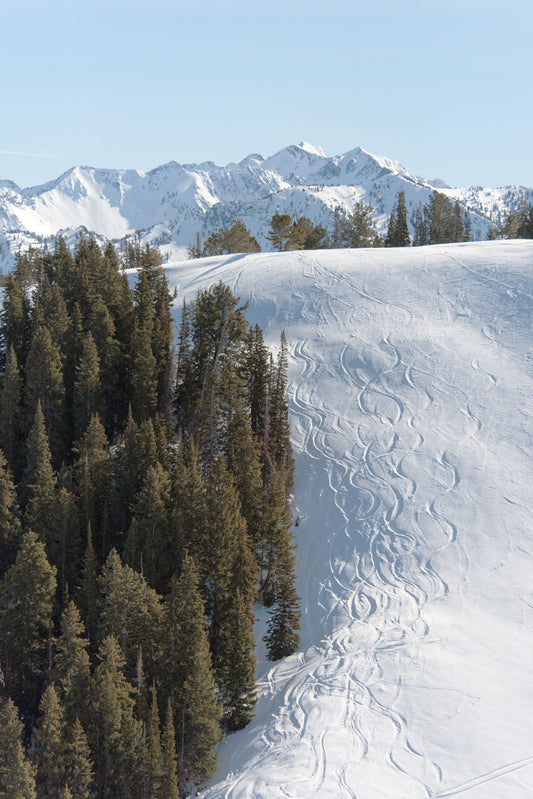 Park City Triptych