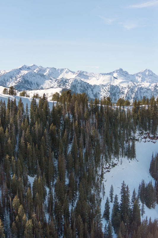 Park City Triptych