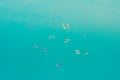 Rio Paddle Boarders Horizontal