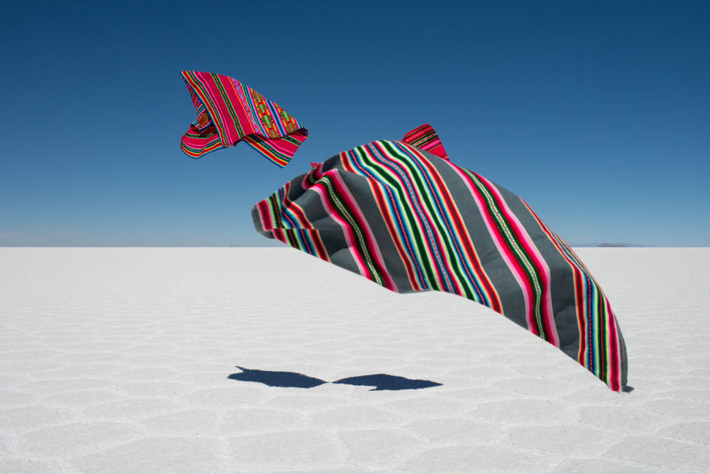 Photography by Gray Malin of Rugs 2