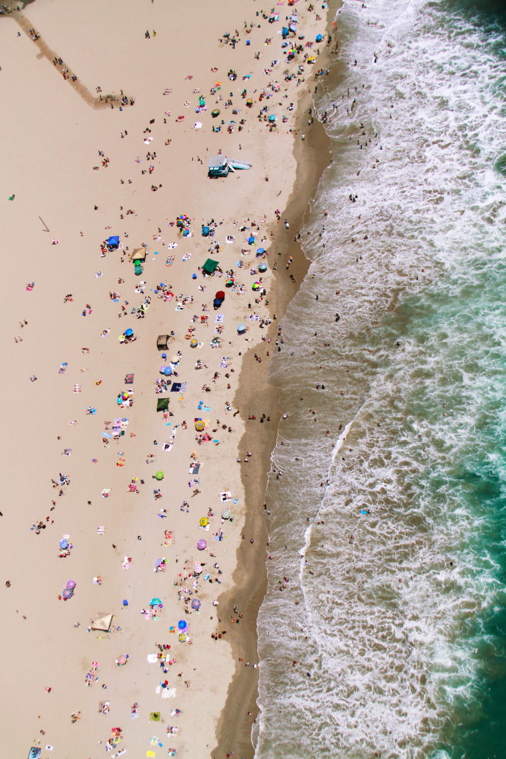 Santa Monica Beach Vertical