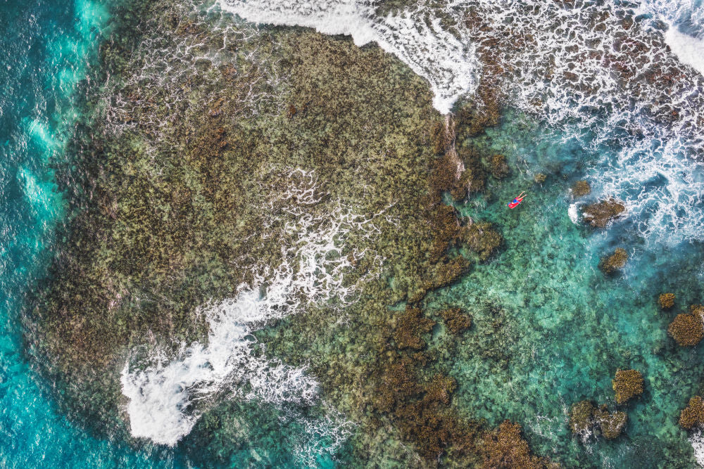 Photography by Gray Malin of St. Barths Boogie Boarder