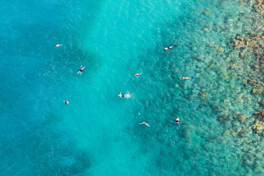 Product image for St. Barths Snorkelers