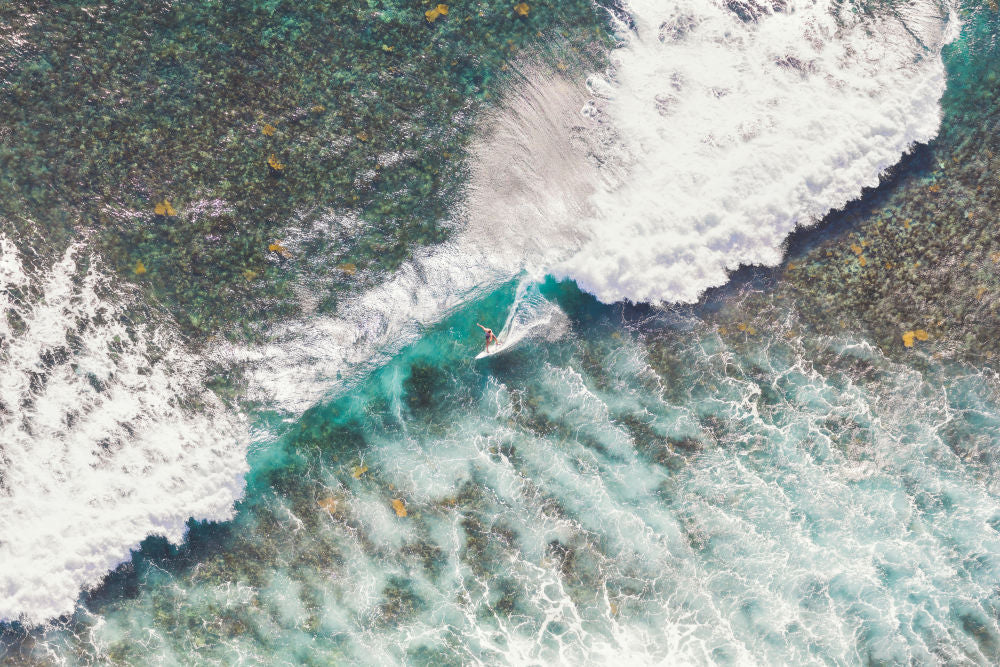 Surfer, St. Barths