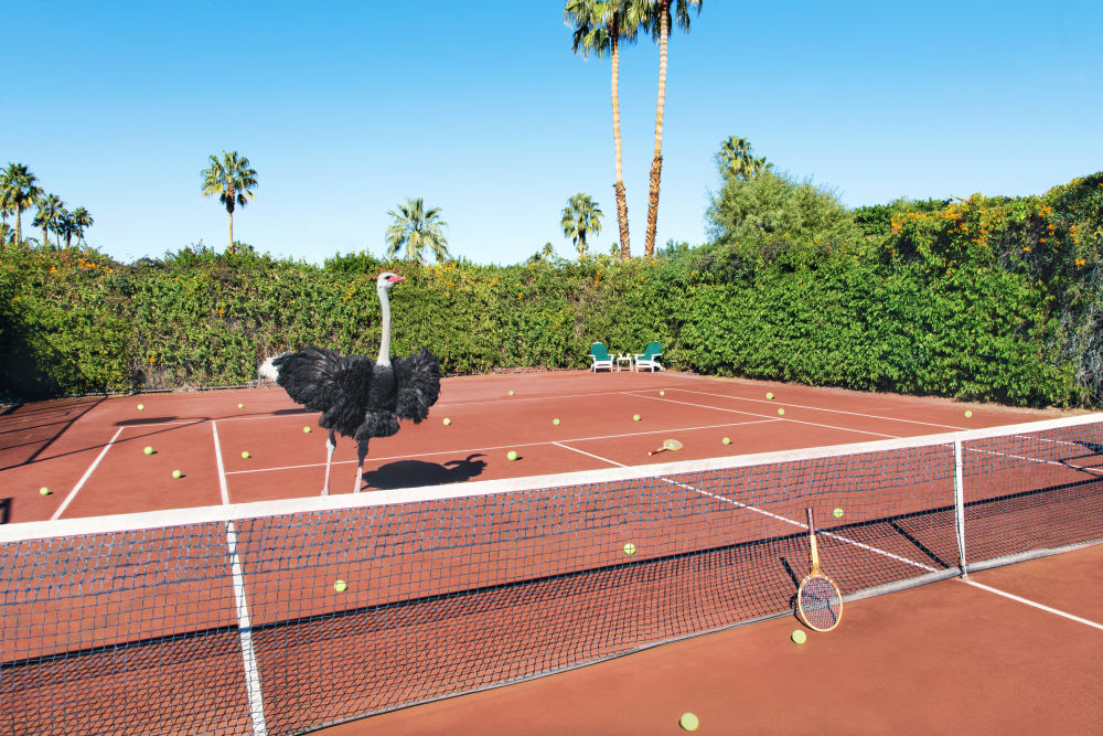 Tennis Lesson