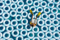 The Diver