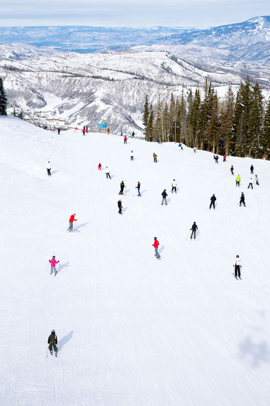 Top of Snowmass Diptych